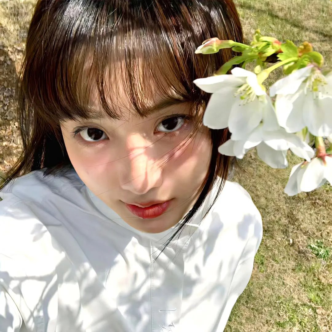 梅花档案